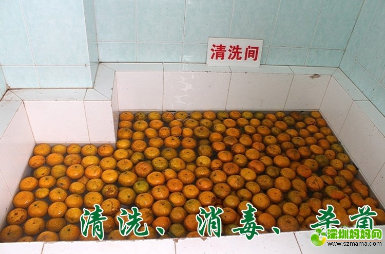 03.jpg