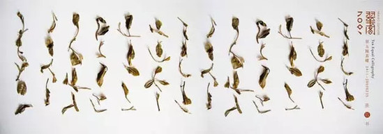 茶后书