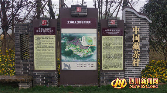 中国藏茶村规划全景图