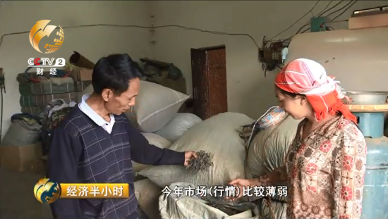 面对格地的一袋子茶叶，收茶的老伍也面露难色。