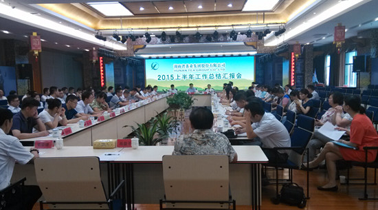 湘茶集团2015上半年总结汇报